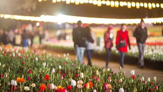 Floriade NightFest